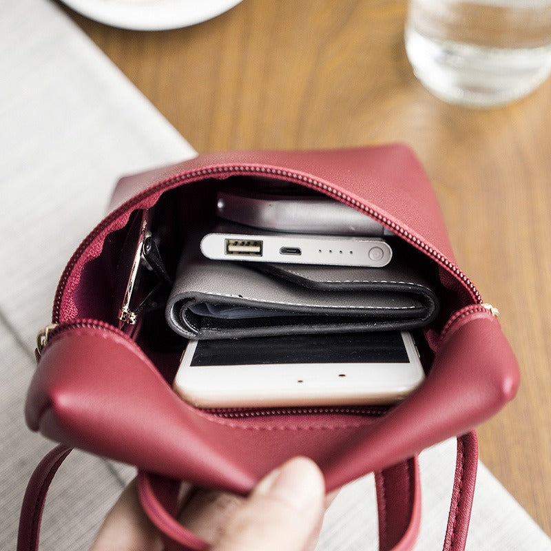 Crossbody Companion Bag