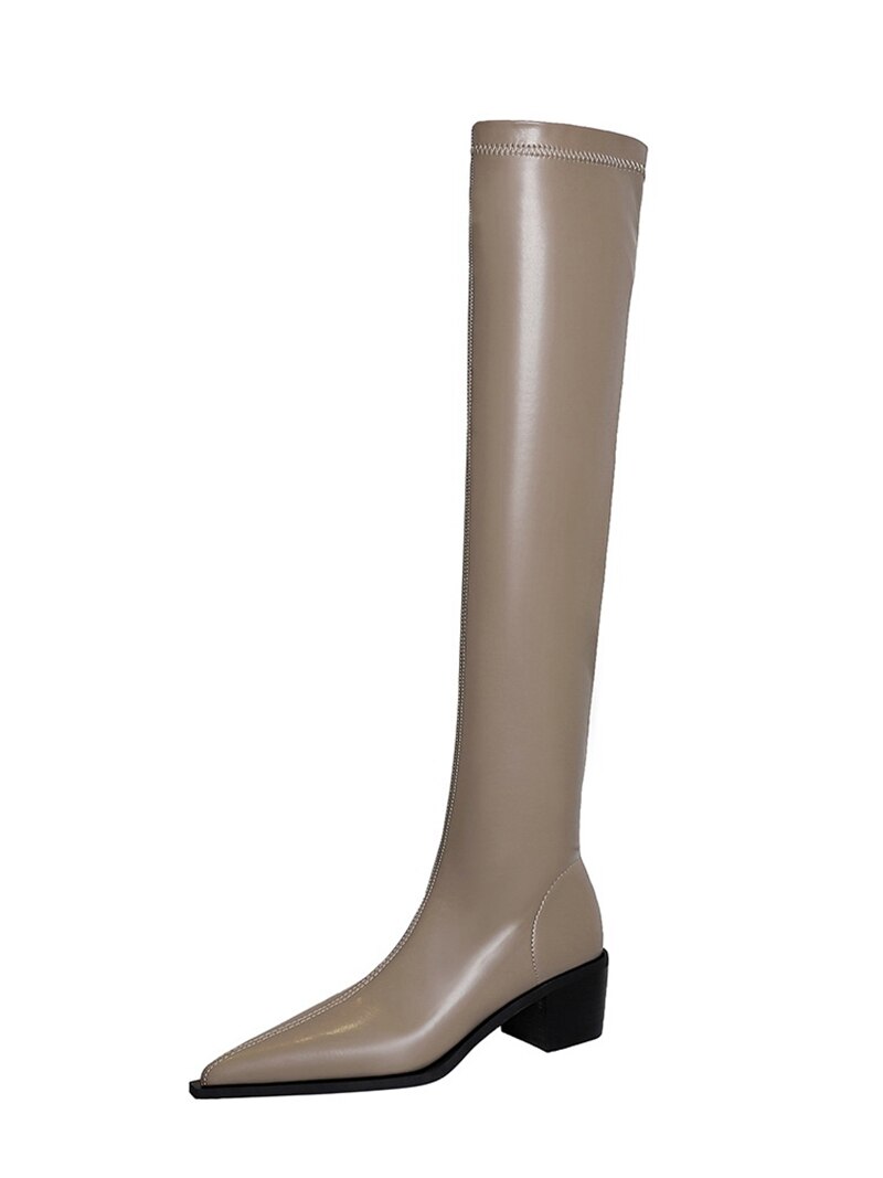 Pointed Thigh High Boots